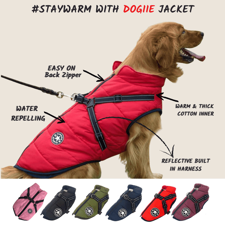 Waterproof Winter Jacket with Built-in Harness